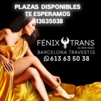 FÉNIX TRANS BCN