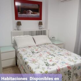 ESTANCIA ELEGANTE Y DE LUJO EN PALMA, HORARIO DE MAÑANA 